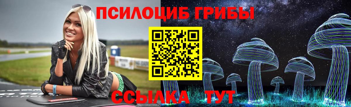 Галлюциногенные грибы Psilocybe Дзержинск